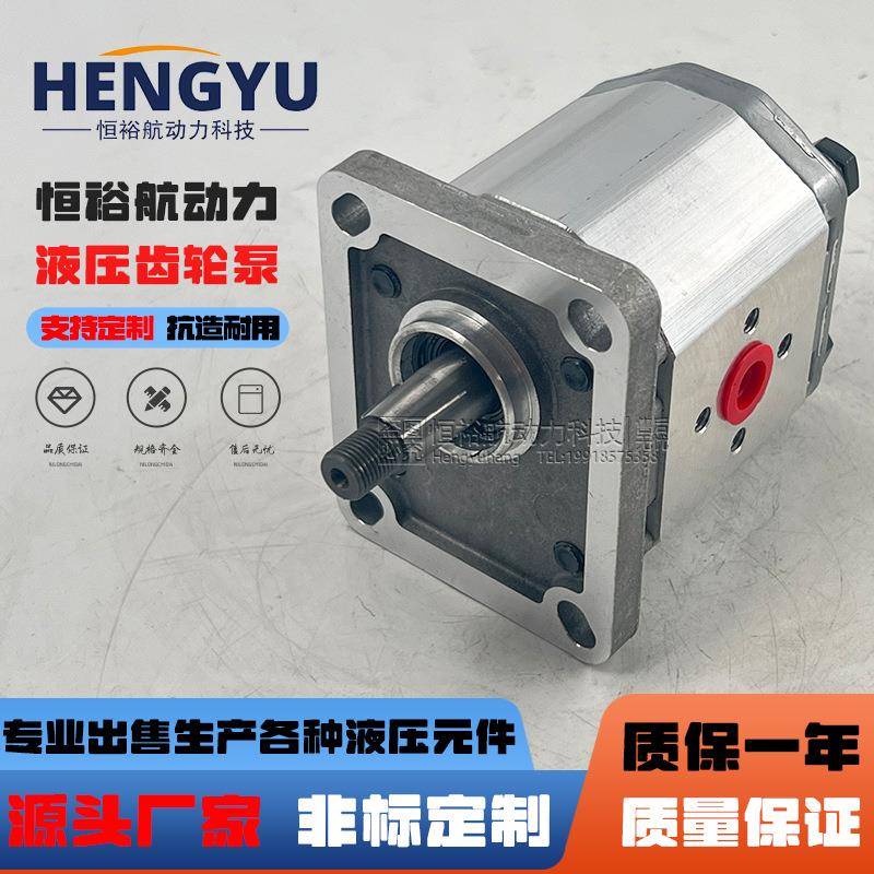 博顿高压油泵Boden齿轮泵BAP1B0D6.2T0E0泵BHM1B0R2.1T0L1液压泵
