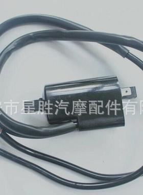 点火线圈12VforSuzukGSF400GSF600GSF1200Bandit.