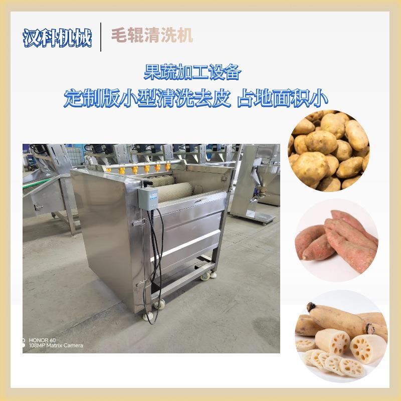 大枣毛刷气泡清洗机胡萝卜毛刷去皮清洗机现货供应清洗