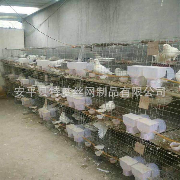 鸽笼养殖鸽子笼鸽笼配件鸽笼4层鸽笼全套鸽笼铁网