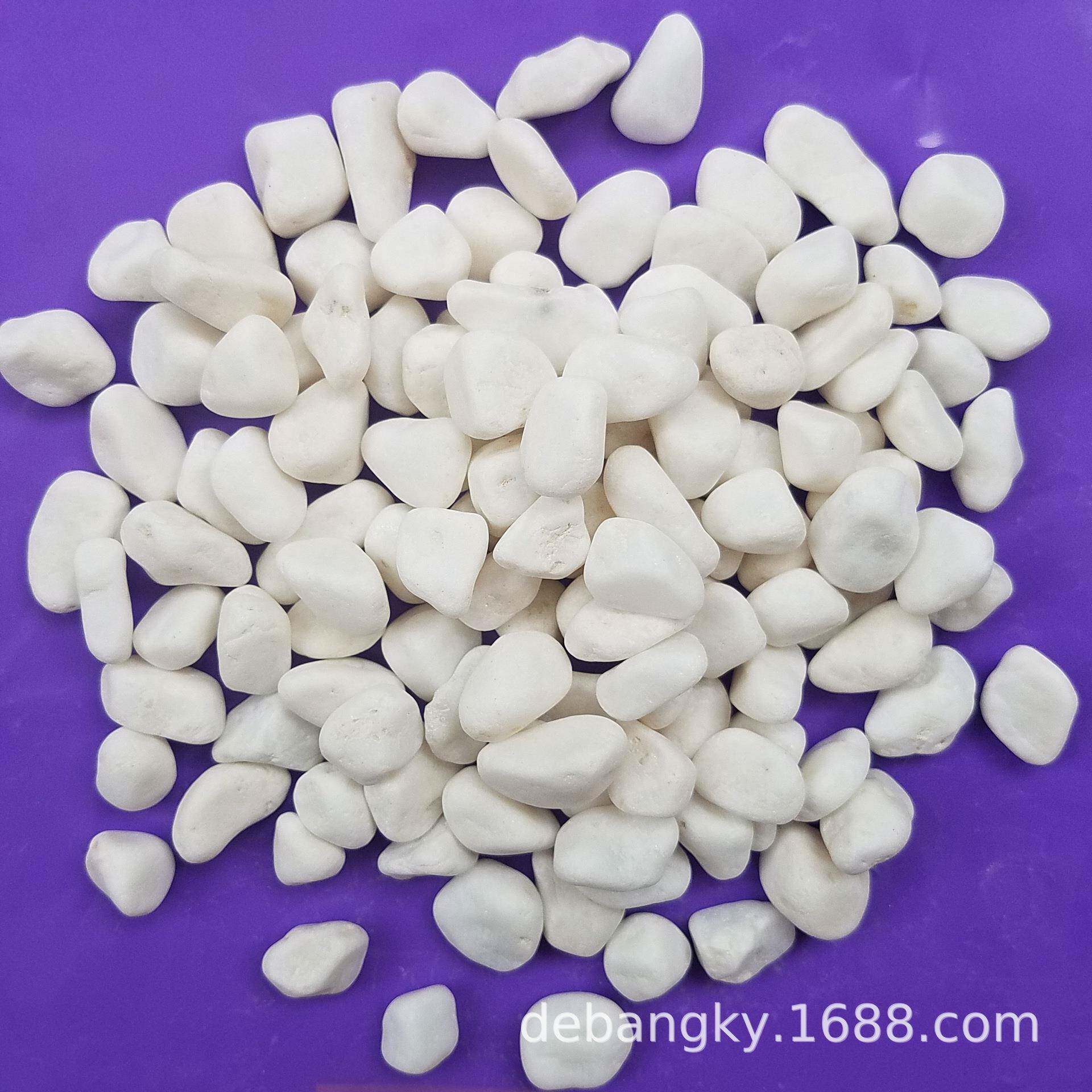 供应彩色鹅卵石园艺景观石白色水磨石石子植物铺面白石子
