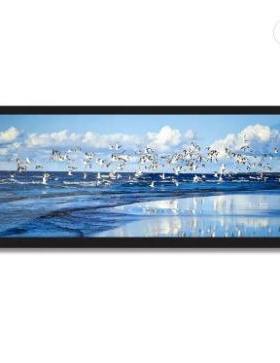 现货10.3寸液晶显示屏1920X720车载高清屏幕HSD103JPW2-E21F10屏