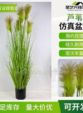 仿真叶芦苇人造洋葱草假草绿植5头绿色芦苇草仿真花落地植物盆栽