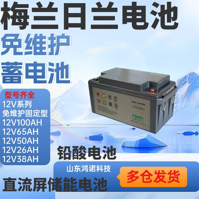 梅兰日兰MGE蓄电池BATT12100M2AL12-100机房UPS电源12V100AH