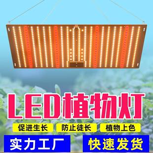 全光谱植物生长补光灯仿太阳光室内种植灯草莓蔬菜花卉绿植水培灯