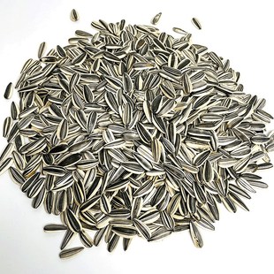 炫料生大瓜子鹦鹉鸟食三道眉大瓜子鹦鹉零食鸟粮中大型鹦鹉粮饲料