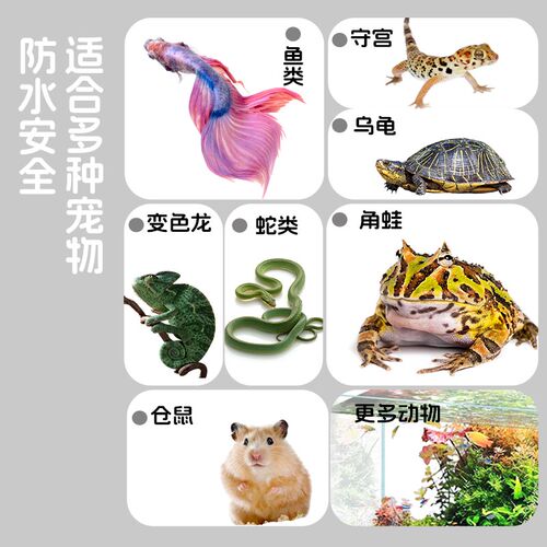 乌龟加热垫恒温爬宠专用带温控寄居蟹角蛙守宫宠物蛇爬虫加热板