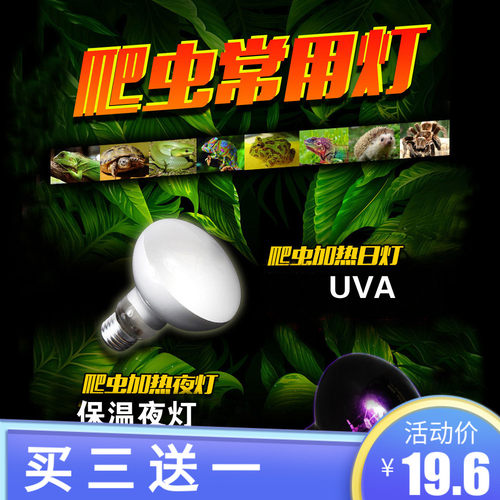 宠物沙漠雨林加热日夜灯爬虫蜥蜴刺猬陆龟乌龟全光谱爬宠UVA保温