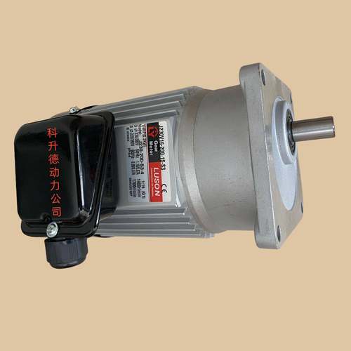 LUSON电机LY马达J230V16-200-20-C(Y)J230V15-200-15-C(Y)