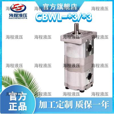 CBWL-*3/*3系列齿轮油泵单联泵C齿轮泵