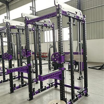 三合一史密斯小飞鸟龙门架多功能商用健身器材家用深蹲架卧推架