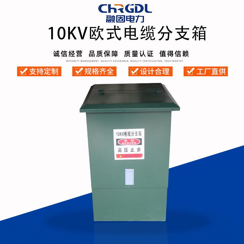 现货供应整套设备不锈钢绝缘户外分接箱10KV欧式高压电缆分支箱