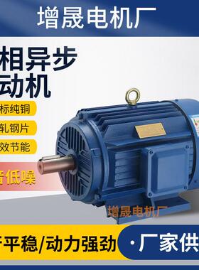 厂家供应三相异步电动机YE2801-2国标全铜电机0.75W高效节能马达