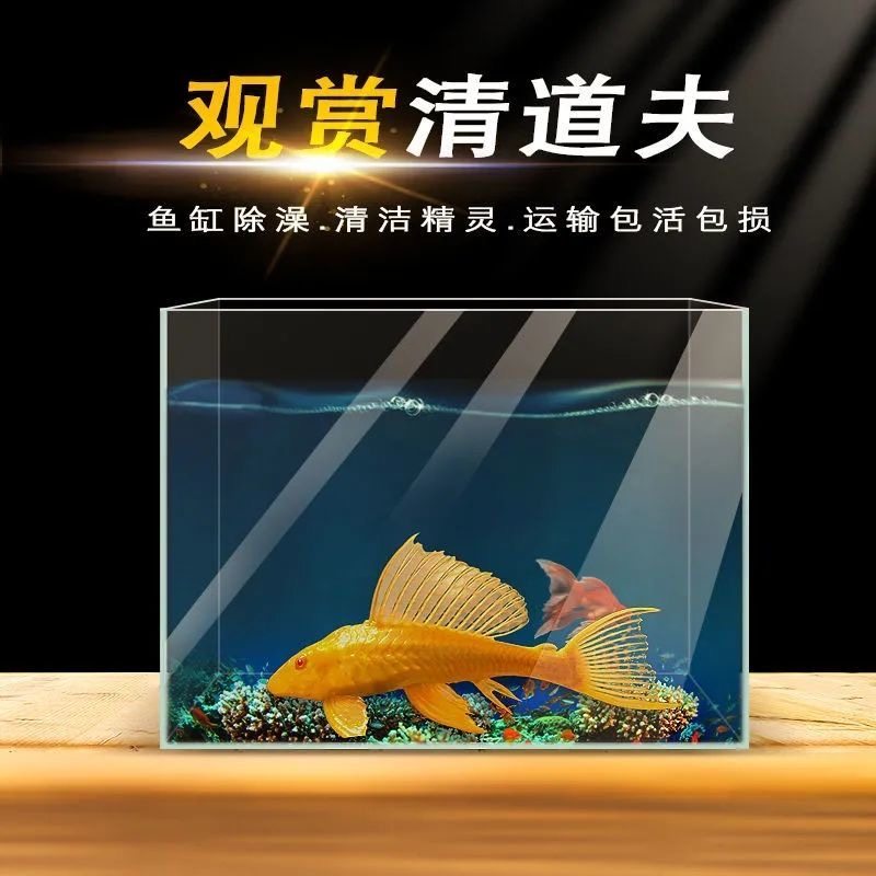 鱼缸玻璃桌面客厅小型生态斗鱼金鱼乌龟缸造景懒人养鱼超白水草缸,宠物/宠物食品及用品,桌面缸,淘宝优惠券,粉丝福利购,淘宝优惠卷