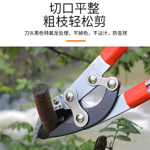 园林剪刀果树修剪树枝强力修枝剪粗枝剪大力剪花剪大省力园艺工具