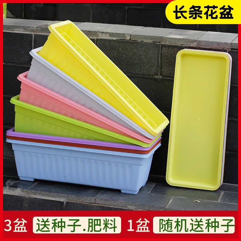 种植盆阳台长方形特大盆栽家庭草莓种植盆多肉植物种花盆室内蔬菜