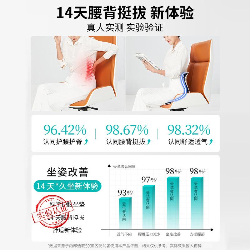 家用护座腰姿椅靠垫办公室腰一靠体坐垫神坐器记忆棉椅s04凳子