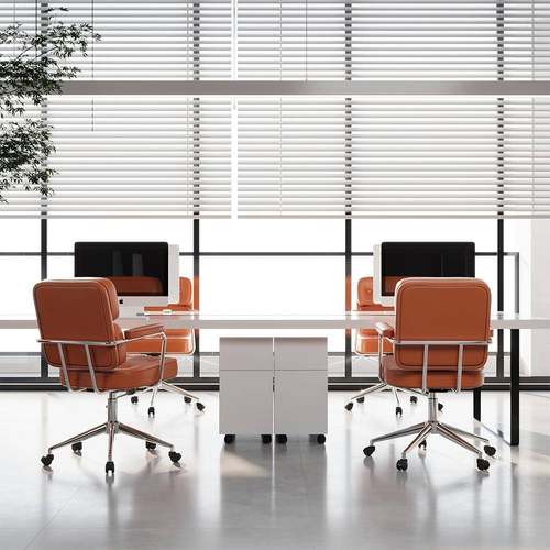 RCH书家办公椅电房子用办公椅子学生椅子儿童学习椅商用会议椅脑