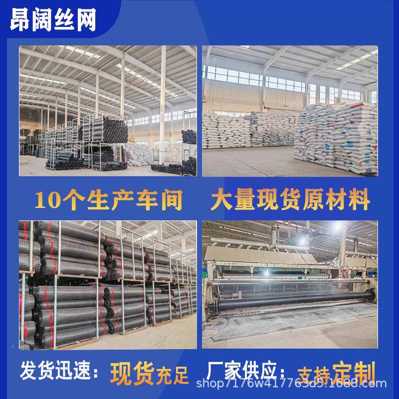 土工格养鸭围栏鸡鱼塘果河园道大棚菜园围网漏粪栅黑色养殖塑PHV