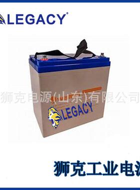 德国WING蓄电池ESL100-12应急照明12V100AH机械臂机器人备用电源
