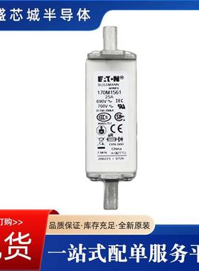 快速熔断器温度熔断器直流熔芯170M3023170M3142170M3144