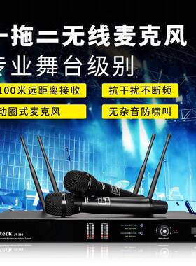 专业一拖二无线麦克风可调频KTV话筒舞台演出KTV唱歌会议K歌