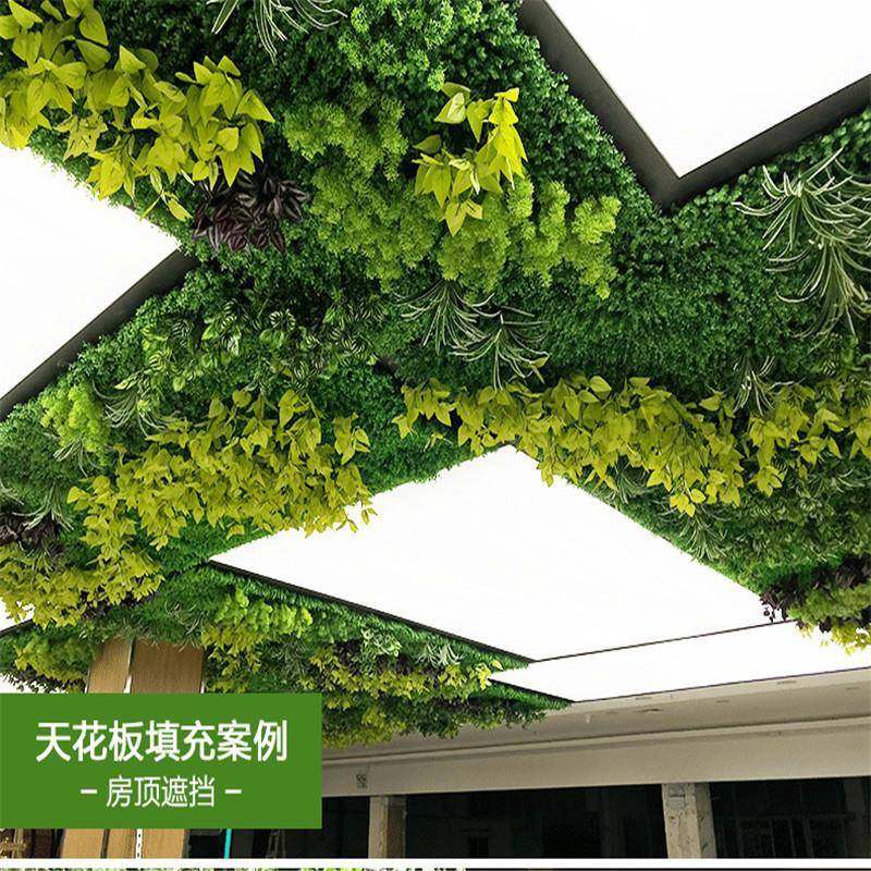 绿植墙仿真植物墙室外塑料假草坪墙面装饰垂直绿化墙背景,纺织面料/辅料/配套,纺织机械配件,淘宝优惠券,粉丝福利购,淘宝优惠卷