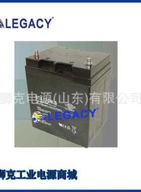 德国WING蓄电池BTX12-100LS直流屏铅酸12V100AH机房备用电源