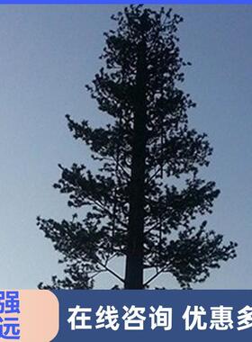 瑞远城市景观公园绿化美化仿生树室内外装饰通讯基站仿生树