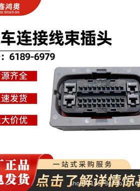 防水连接器6189-6979丰田汽车电脑板插头ABS泵接插件汽车连接器