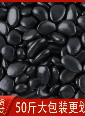 地黑色黑50花园庭院铺路石头造景石子装饰鹅卵石黑铺斤园林雨花石