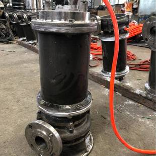 304不锈钢污水泵316L潜污泵渣浆泵三相电潜水排污泵水泵抽水泵