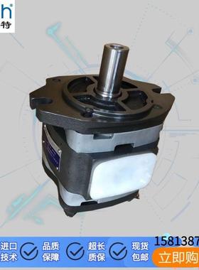 供VOITH德国福伊特液压油泵IPV5-32/IPV6-80/IPV7-125齿轮泵定量