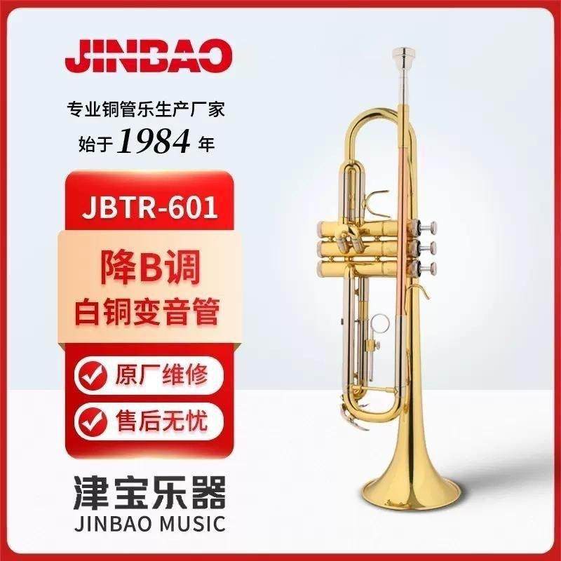 津宝JBTR-601小号乐器降B调学校管乐队专业演奏小号专用高音