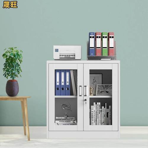 铁玻璃对开矮柜资料档案存放收纳柜书柜柜带锁密码储物柜防火防盗