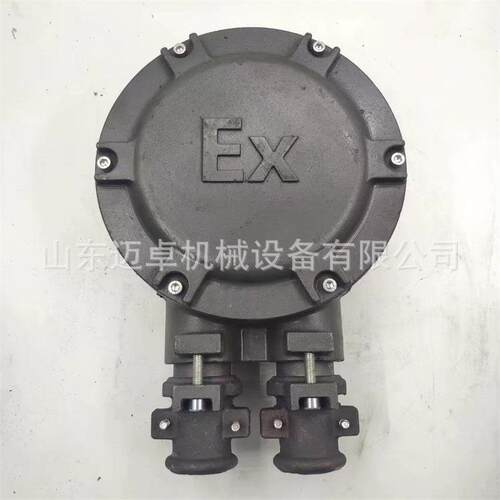 双电缆口接线盒铸铁防爆电机接线盒煤矿用电机接线盒