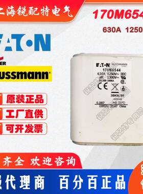 170M6544快速熔断器1250V630A巴斯曼BUSSMANN快速熔断器