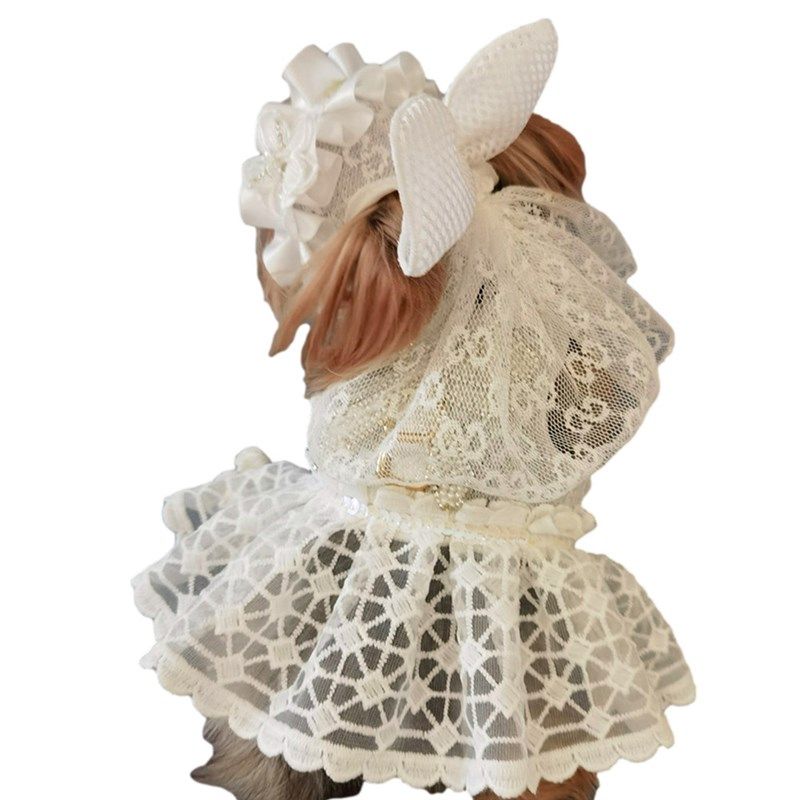 2021年新款公主风白色蕾丝婚纱狗狗牵引绳裙子小型犬牵引带夏款薄,宠物/宠物食品及用品,狗牵引绳,淘宝优惠券,粉丝福利购,淘宝优惠卷