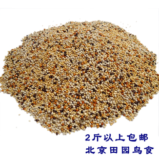 满2包邮黄雀黄鸟食玉鸟虎皮纹鸟饲料金丝雀金青鹦鹉类产蛋高谷类