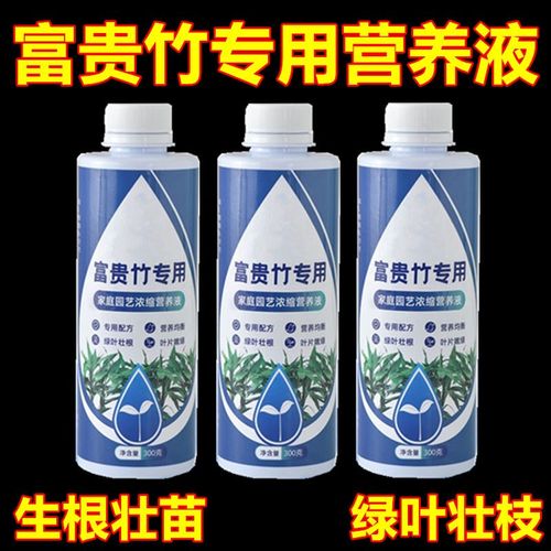 富贵竹专用营养液水培治黄叶促生根转运竹观音竹家用盆栽通用肥料