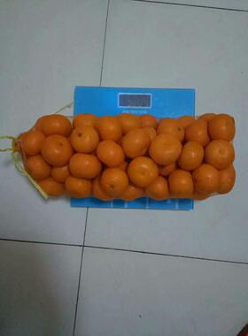 鹏成塑料编织袋厂家生产纱网袋装地专用PXC20斤蔬瓜菜孔袋网网硬