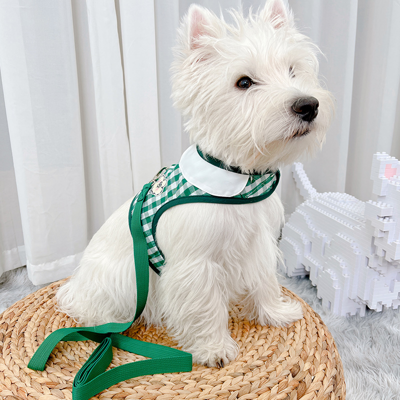猫链子牵引绳猫咪防外出挣脱狗狗胸背遛猫绳遛猫背心式遛狗小型犬