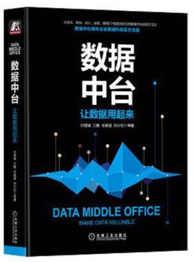 库存九成新数据中台：让数据用起来H0202 9787111642404 付登坡江敏任寅姿孙少忆等著 机械工业出版社