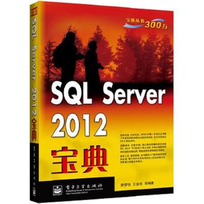 库存九成新 SQLServer2012宝典  廖梦怡 王金柱著 电子工业出版社 9787121220135 廖梦怡,王金柱等编著 电子工业出版社