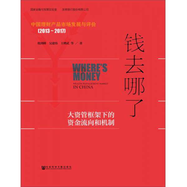 正版库存书9787520111119 钱去哪了大资管框架下的资金流向和机制 殷剑峰吴建伟王增武 社会科学文献出版社