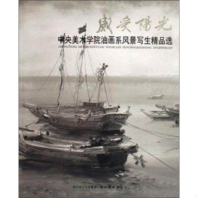 库存九成新正版实拍&lsquo;；&rsquo;感受阳光:中央美术学院油画系风景写生精品选 9787539419503 蔡国胜 湖北美术出版社