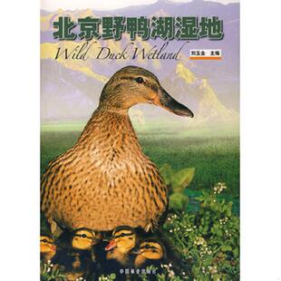 库存九成新北京野鸭湖湿地 9787503847776 刘玉金 中国林业出版社
