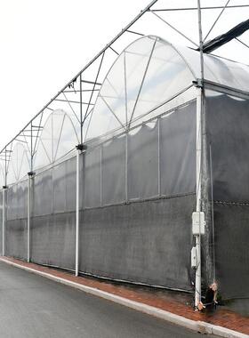 连栋薄膜温花卉种植连体拱棚薄膜温室大遮棚NOC架遮阳阴骨养殖大
