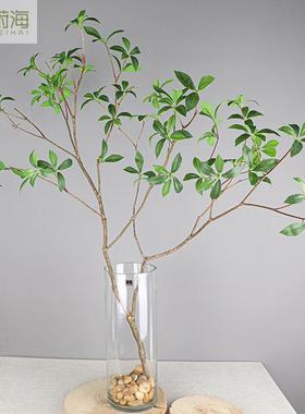 饰仿真马醉木叶树叶假叶子绿色手感装料绿塑叶WH片摄影道具树枝叶