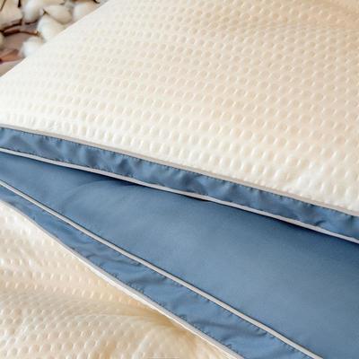 跨面境刺冬绣被双厚立体保暖被SWN48587子被芯秋冬加被保暖被芯单